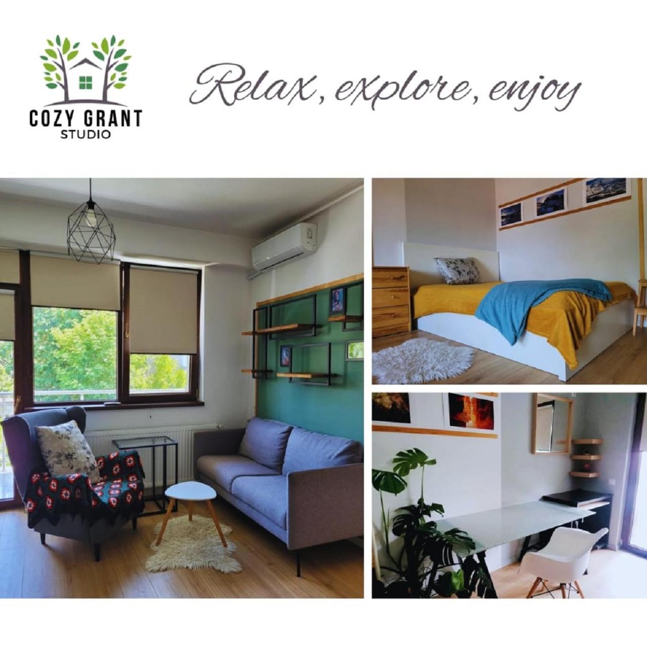 Cozy Grant Appartement Bucarest